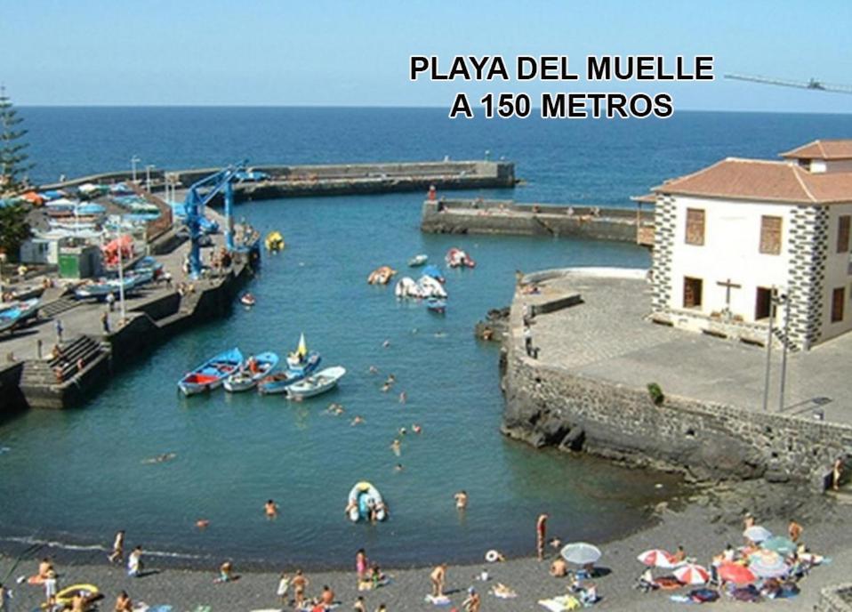 Toplage. Blick. Sauber. Günstig. Pool. Gepflegt * Puerto de la Cruz (Tenerife)